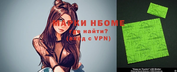 прущие грибы Абинск