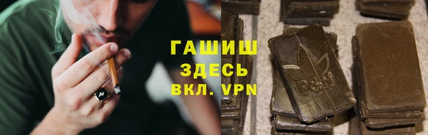 прущие грибы Абинск