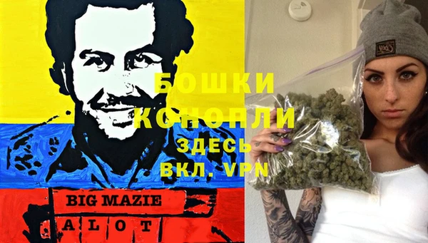 гидропоника Абаза
