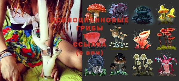 спайс Алзамай